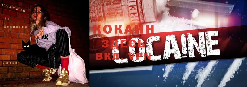 закладка  Жердевка  MEGA рабочий сайт  COCAIN Колумбийский 